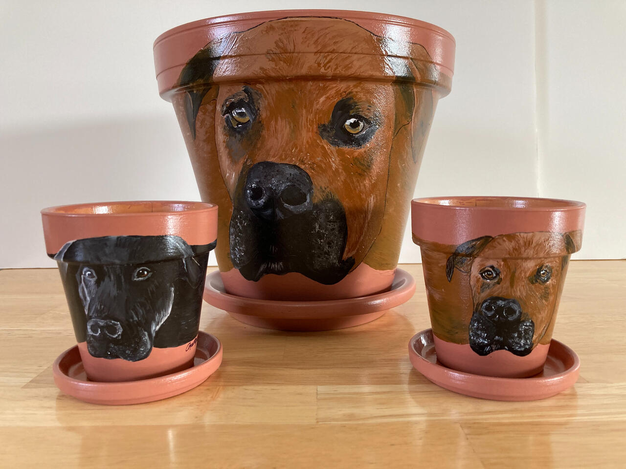 Boxer Pots