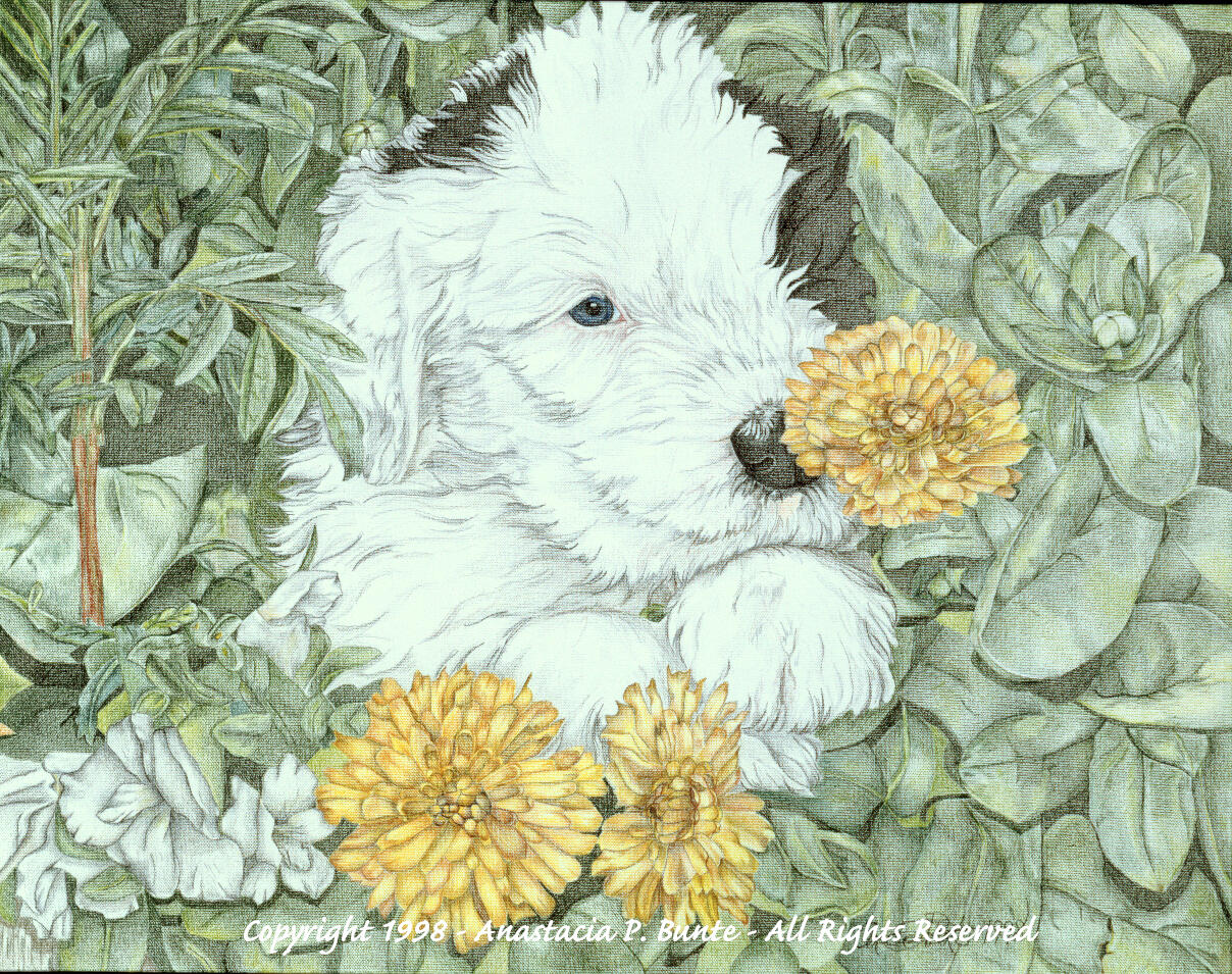 Flower Patch Puppy